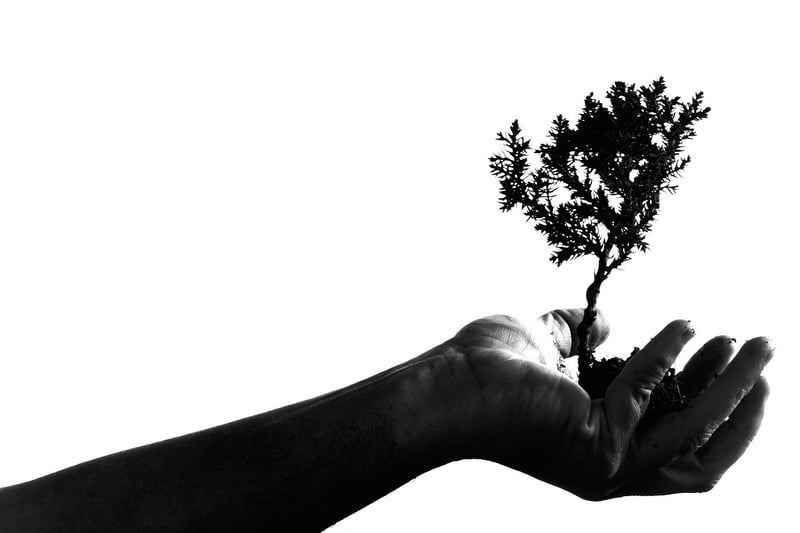 Artistic Inspiration Ideas