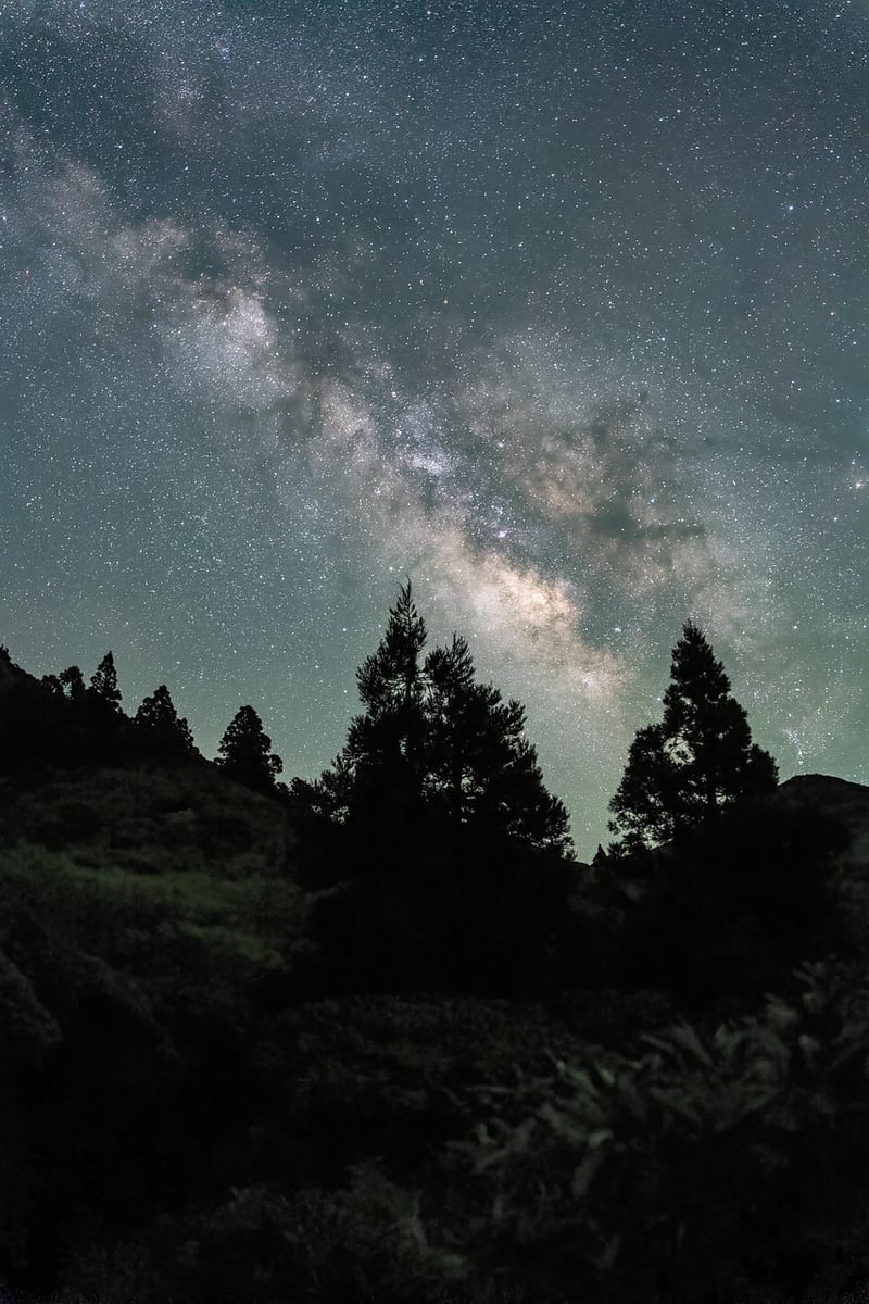 Mindfulness and Meditation